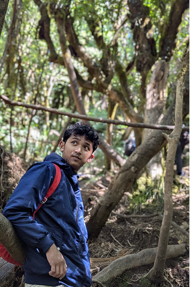 Muhammad Nurachman Musyaffa